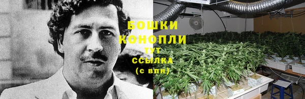хмурый Карталы