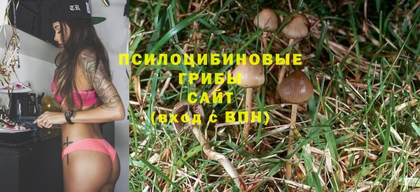 хмурый Карталы