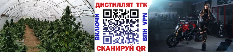 ТГК Wax  что такое наркотик  Щучье 