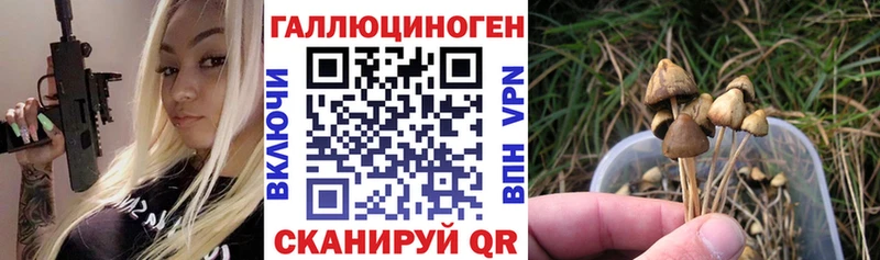 Псилоцибиновые грибы Magic Shrooms  Щучье 